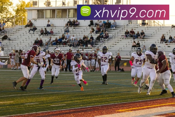 多媒体互动体验