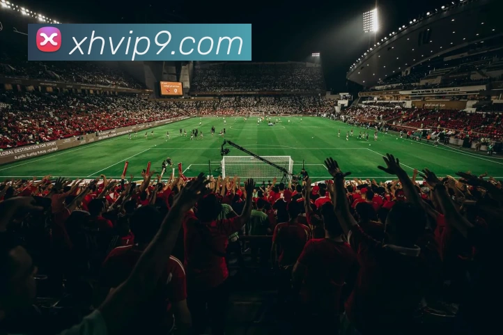 星辉娱乐官网APP 体育赛事宣传图